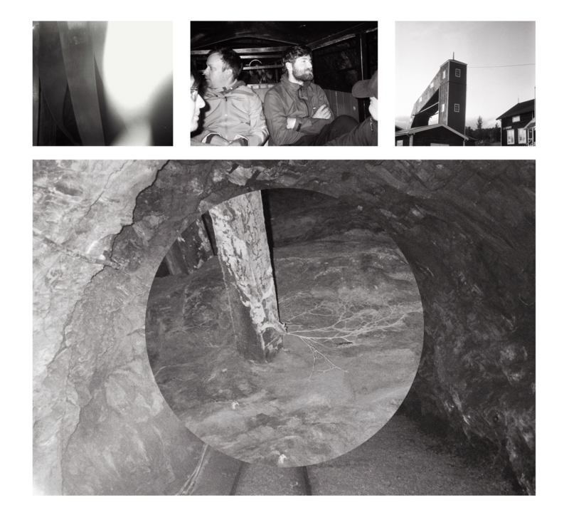 There were thick strands of mycelium growing out of pit props in Folldal mines