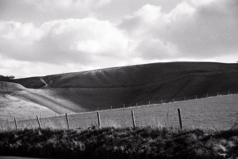 Or just an old horse