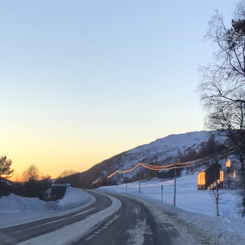 A wire in the light of sunset